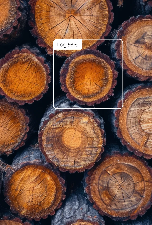 Object detection and sorting